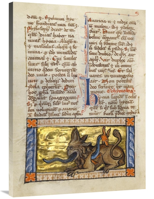 Global Gallery GCS-454753-3040-142 30 x 40 in. A Crocodile & a Hydrus 