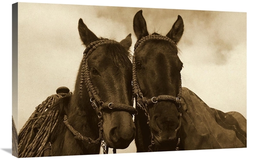 Global Gallery GCS-453719-2436-142 24 x 36 in. Horses Pair Belonging t
