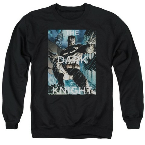 Trevco Batman-Fighting The Storm - Adult Tee - Black- Small