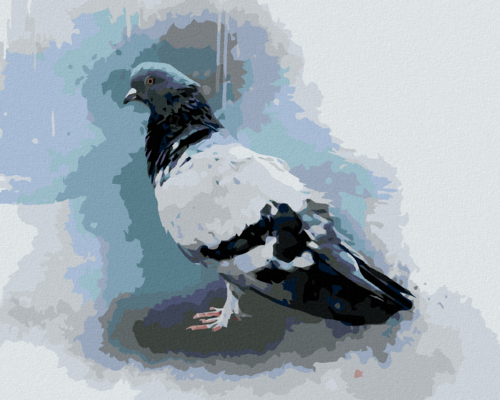 Paint by Numbers - PIGEON