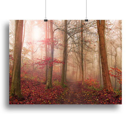 Forest Scene Canvas Print or Poster