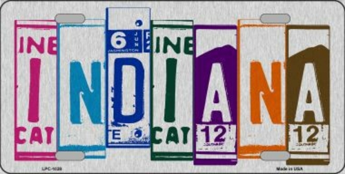 Smart Blonde LPC-1028 Indiana License Plate Art Brushed Aluminum Metal