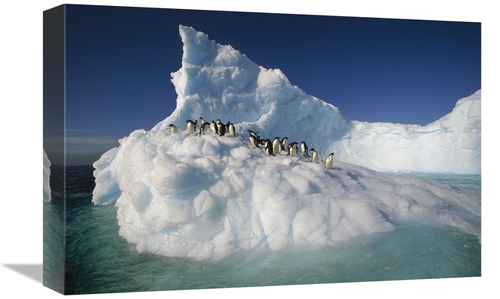 Global Gallery GCS-397783-1218-142 12 x 18 in. Adelie Penguin Group on