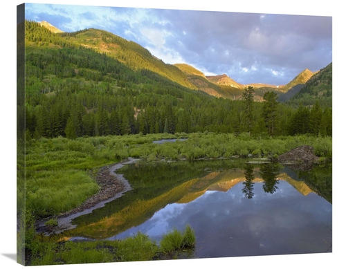 Global Gallery GCS-396636-2835-142 28 x 35 in. Pond & Boreal Forest&#4