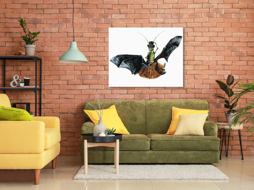 Paint by Numbers - BAT AND GRASSHOPPER (HOLLY SIMENTAL)