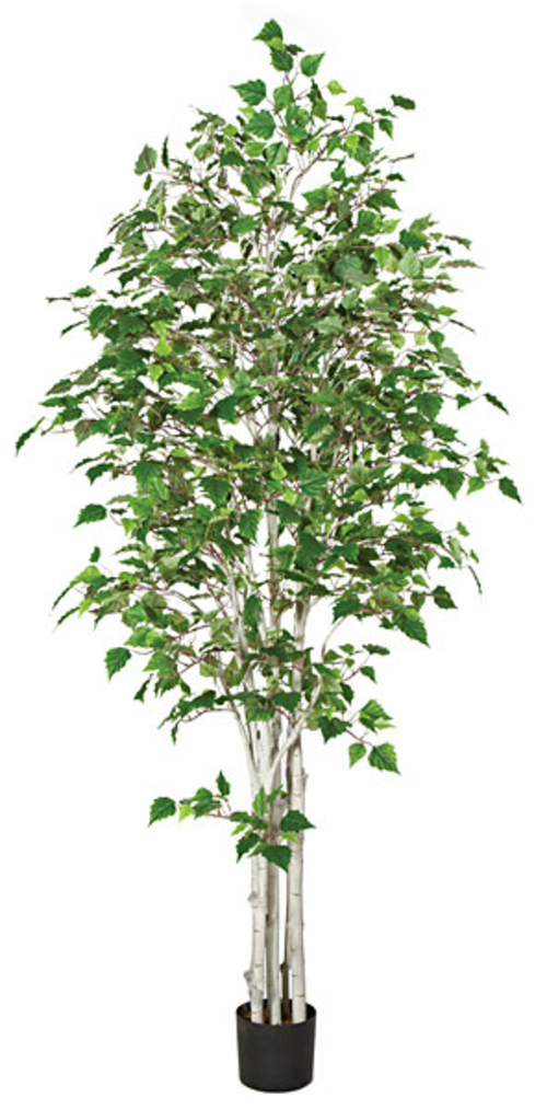 Autograph Foliages P-120290 7 ft. White Birch Tree- Green