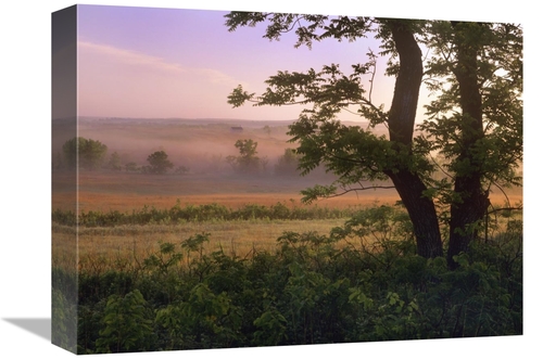 Global Gallery GCS-396175-1216-142 12 x 16 in. Tallgrass Prairie Natio