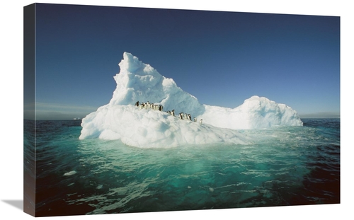 Global Gallery GCS-397792-1624-142 16 x 24 in. Adelie Penguin Group Ri