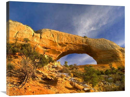 Global Gallery GCS-397185-2835-142 28 x 35 in. Wilson Arch with A Span