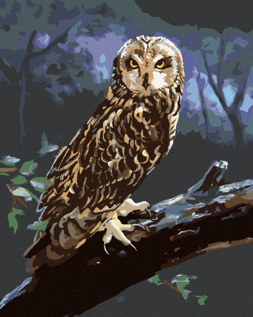 Zuty - Paint by Numbers - OWL ON A LOG AT NIGHT (D. RUSTY RUST), 40x50