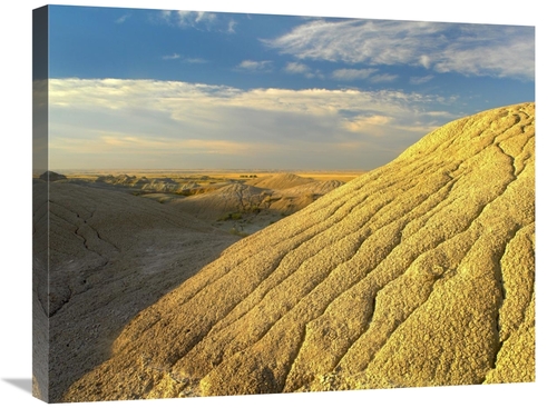 Global Gallery GCS-396675-2228-142 22 x 28 in. Detail of Erosional Fea