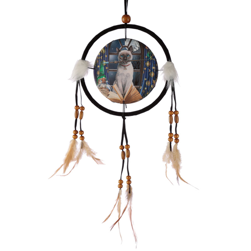 Decorative Lisa Parker Hocus Pocus 16cm Dreamcatcher