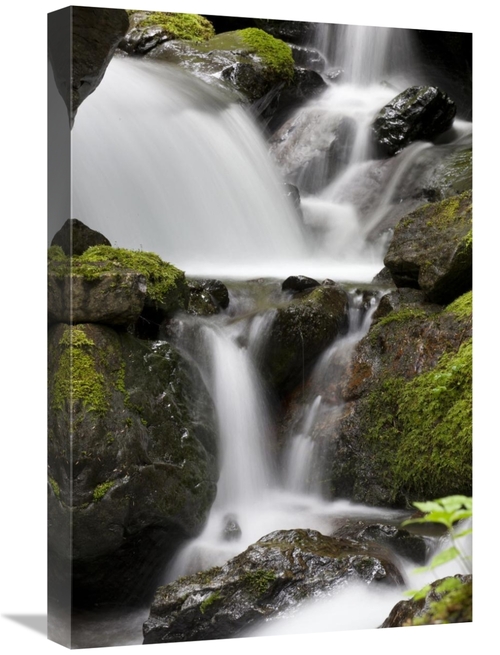 Global Gallery GCS-395440-1624-142 16 x 24 in. Cascading Creek in Temp