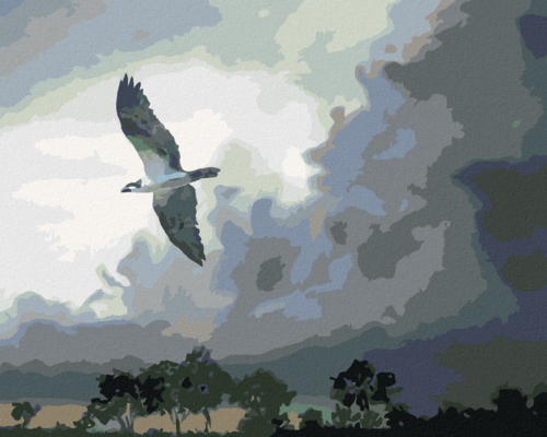 Zuty - Paint by Numbers - EAGLE IN FLIGHT AND STORM CLOUDS (D. RUSTY