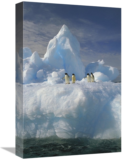 Global Gallery GCS-453465-1218-142 12 x 18 in. Adelie Penguin Group Re