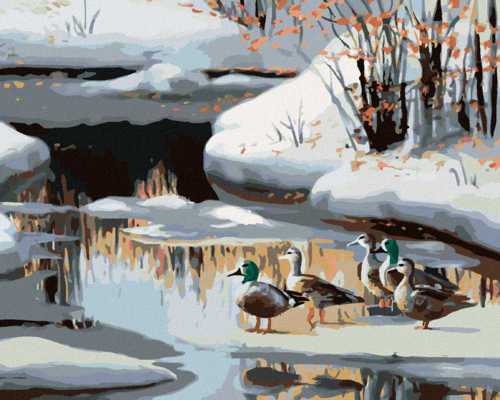 Zuty - Paint by Numbers - DUCK ON A FROZEN RIVER (D. RUSTY RUST),