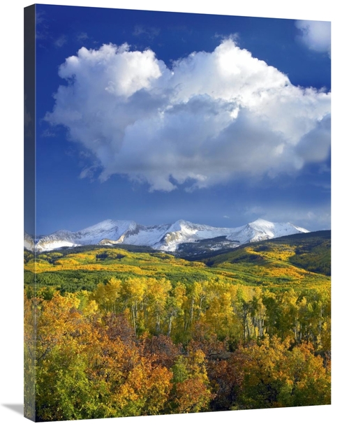 Global Gallery GCS-397098-2432-142 24 x 32 in. East Beckwith Mountain 