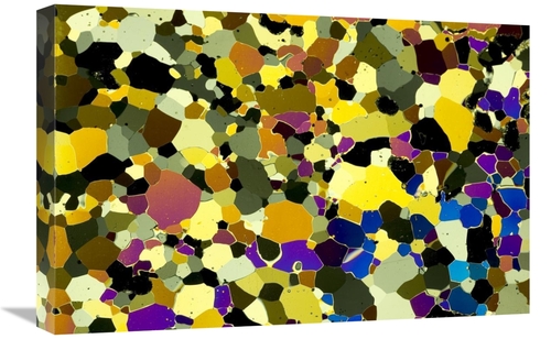 Global Gallery GCS-395286-1624-142 16 x 24 in. Sea Ice Core One Millim