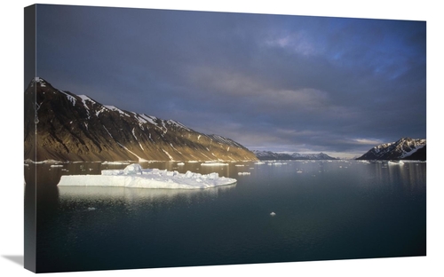 Global Gallery GCS-451339-2030-142 20 x 30 in. Evening Light, Sval