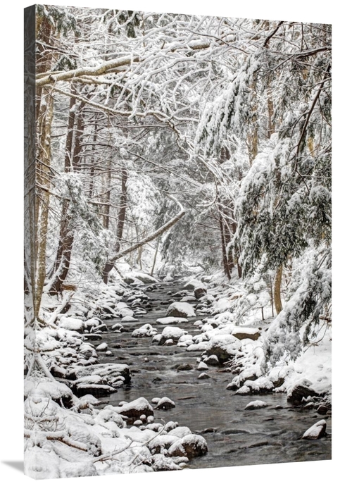 Global Gallery GCS-397598-2436-142 24 x 36 in. Stream in Winter, N