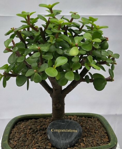 Personalized Skipping Stone"Congratulations"