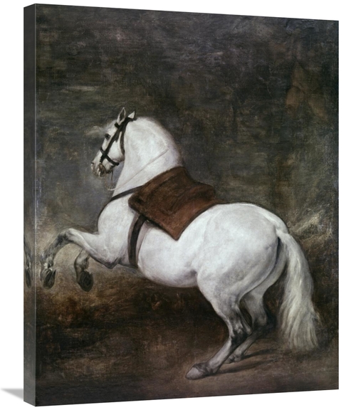 Global Gallery GCS-281402-30-142 30 in. A White Horse Art Print - Dieg