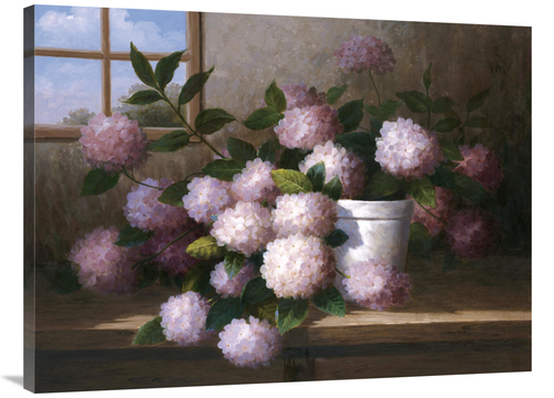Global Gallery GCS-119543-3040-142 30 x 40 in. Hydrangea Blossoms I Ar