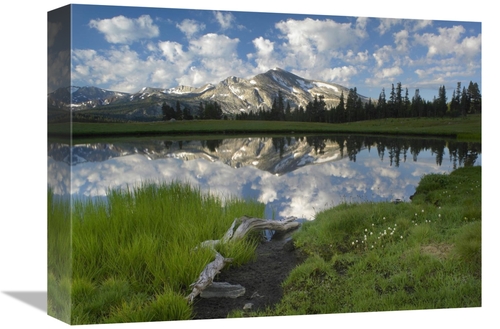 Global Gallery GCS-397077-1216-142 12 x 16 in. Mammoth Peak & Scattere