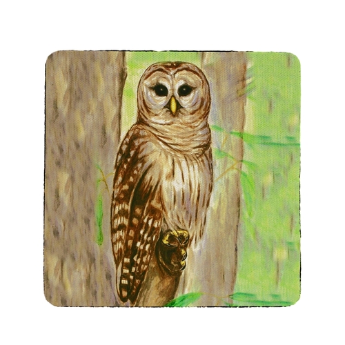 Betsy Drake CT240 Owl Coaster - Set of 4