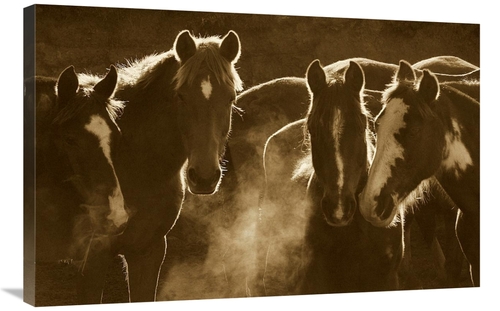 Global Gallery GCS-453720-2436-142 24 x 36 in. Horse Herd At Annual Ro