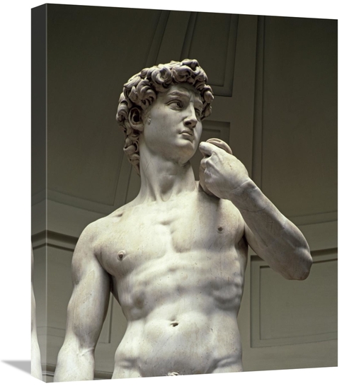 Global Gallery GCS-282514-22-142 22 in. David - Detail II Art Print - 