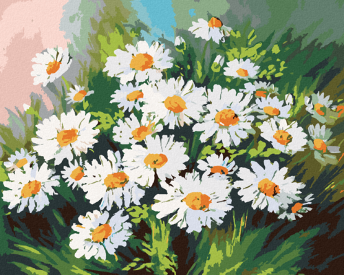 Paint by Numbers - DAISIES IN THE GRASS