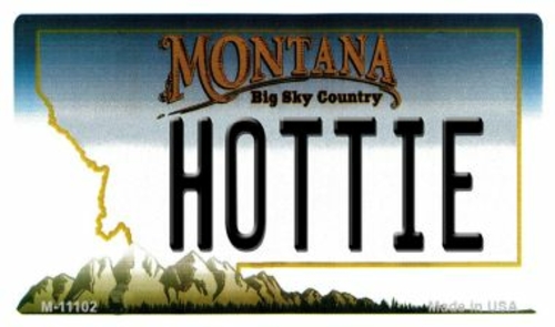 Smart Blonde M-11102 3.5 x 2 in. Hottie Montana State License Plate No