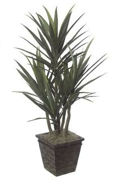 Autograph Foliages PF-61470 - 50 Inch Plastic Yucca - Two-Tone Green