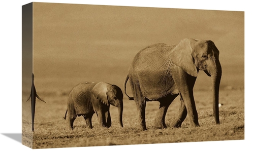 Global Gallery GCS-453681-1218-142 12 x 18 in. African Elephant Mother