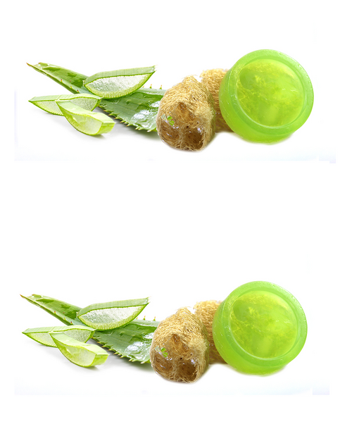 Aloe Vera Loofah Soap Pack of 2