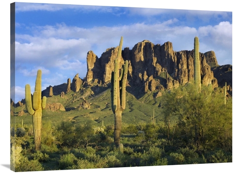 Global Gallery GCS-396947-3040-142 30 x 40 in. Saguaro Cacti & Superst