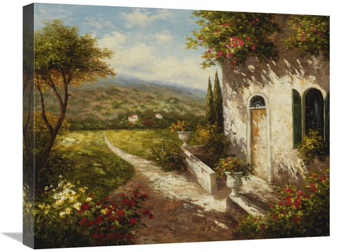 Global Gallery GCS-132592-2024-142 20 x 24 in. Traccia Del Prato Art P