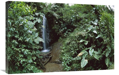 Global Gallery GCS-451643-2436-142 24 x 36 in. Andean Cloud Forest&#44