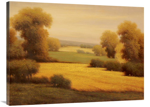 Global Gallery GCS-130153-3040-142 30 x 40 in. Pre Ambre Art Print - P