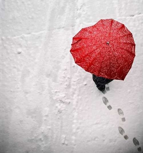 Red Heart Umbrella