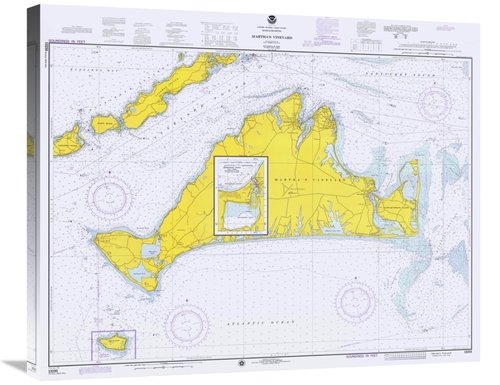 Global Gallery GCS-450525-30-142 30 in. Nautical Chart - Marthas Viney