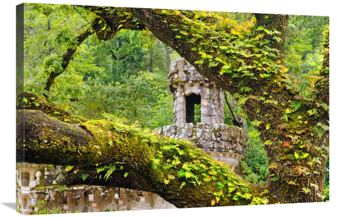 Global Gallery GCS-486558-36-142 36 in. Enchanted Forest Art Print - V