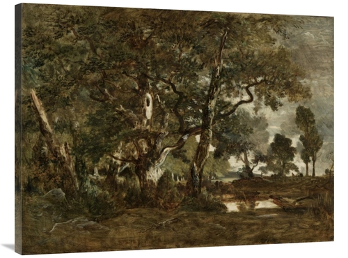 Global Gallery GCS-459891-3040-142 30 x 40 in. Forest of Fontainebleau