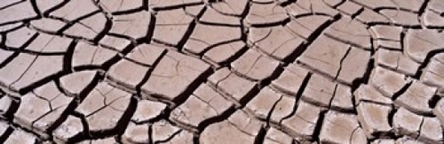 Panoramic Images PPI53171L Close-up of cracked mud  South Dakota  USA 