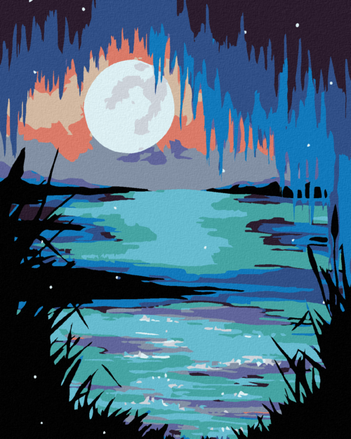 Paint by Numbers - RACCOONS