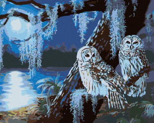 Zuty - Paint by Numbers - SNOWY OWL ON A FULL MOON NIGHT (D. RUSTY