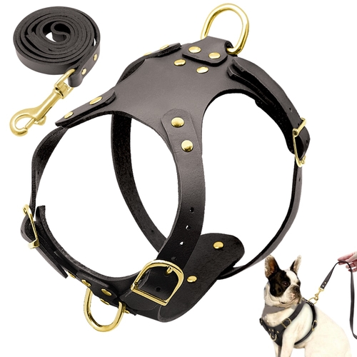 Pit Bull Dog Harness Leash Set No Pull Genuine