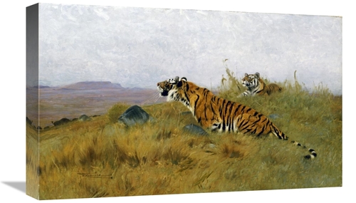 Global Gallery GCS-266702-22-142 22 in. Tigers Stalking Their Prey Art