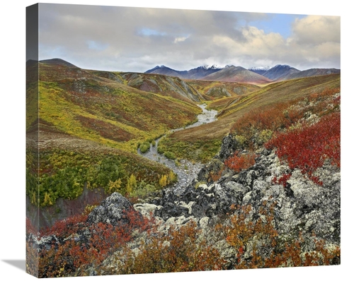 Global Gallery GCS-397092-22-142 22 in. River Flowing Through Tundra&#